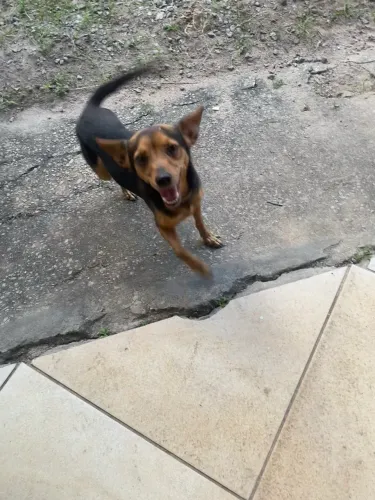 Doação