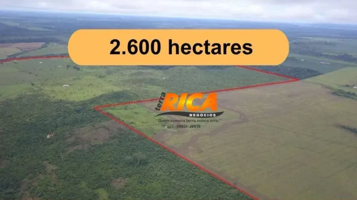Excelente Fazenda com 2.600 Hectares à venda na Zona Rural de Jaci Paraná/RO