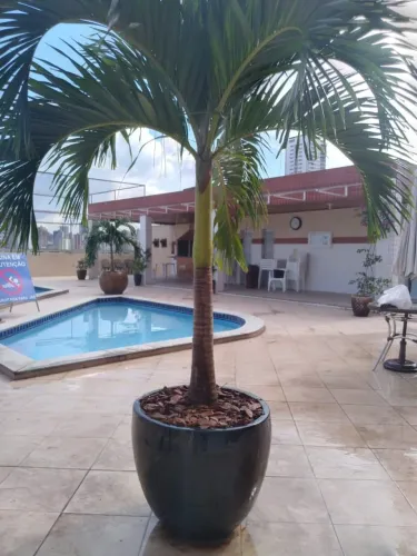 Jardineiro 