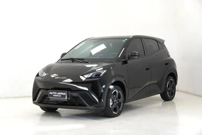 BYD Dolphin Mini (Elétrico) 2024
