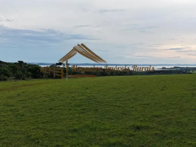 Fazenda com 48 alqueires à venda em Avaré-SP
