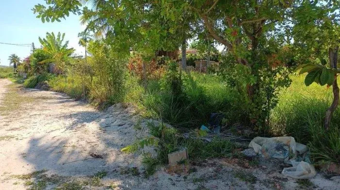Lote à venda, TATUAMUNHA, Porto de Pedras, AL