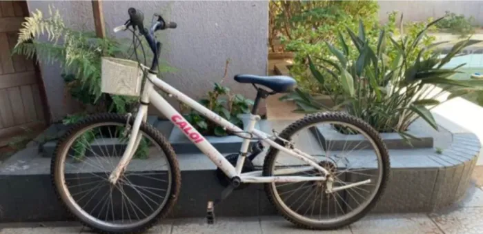 Bicicleta Caloi Ceci Aro 24