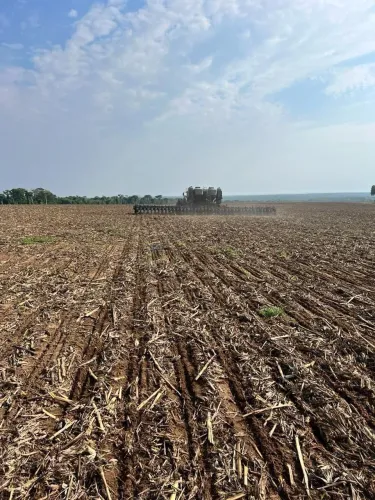 Vendo!!! fazenda de 2.249 hectares região da cidade de Nova Mutum no estado do M