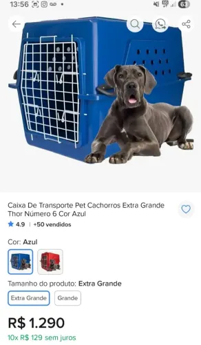 Caixa de transporte para cachorro. Dentro das normas exigidas pela Latan.