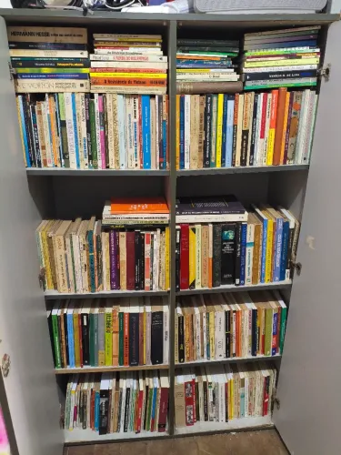Lote de Livros - 300 unidades