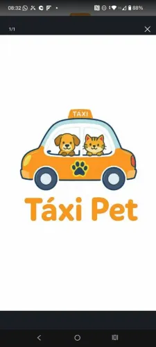 táxi pet