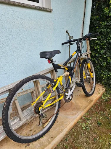 Bicicleta