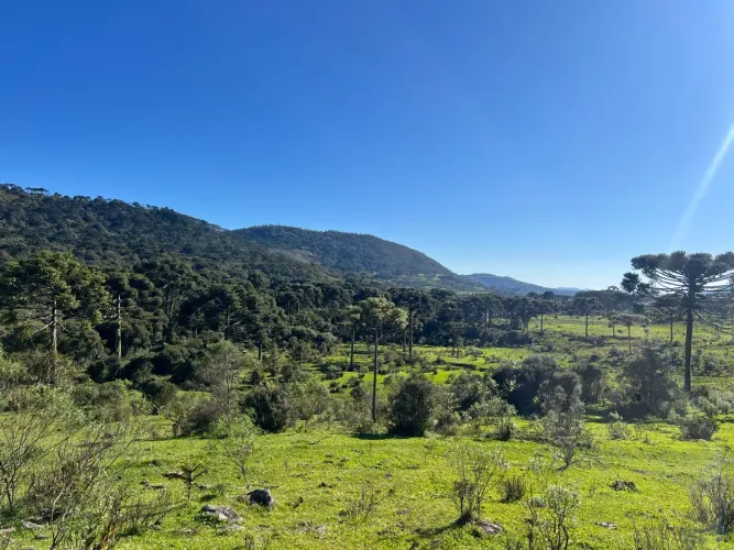 Terreno 91 hectares em Urubici SC