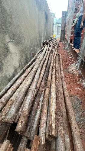 Pau de escoramento