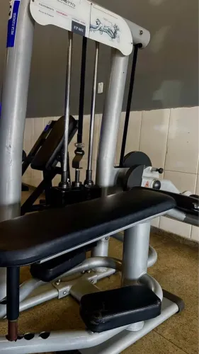 Mesa flexora