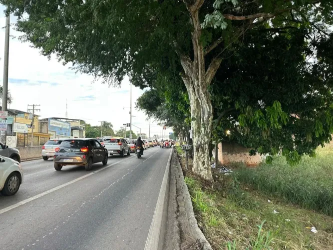 Terreno Comercial Localização Estratégica GO 060 Jardim Petrópolis Próximo Avenida Inhu
