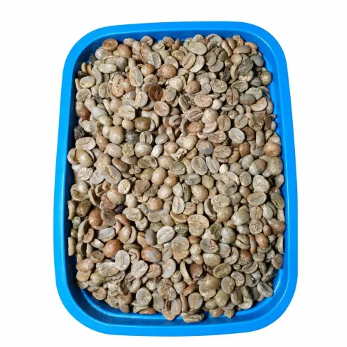 Café cru verde em grãos pronto para torra 1KG