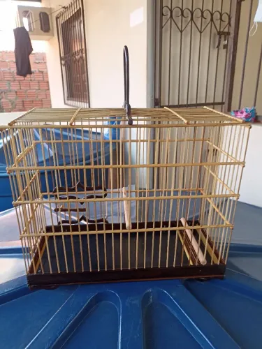 Vendo gaiola 150