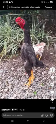 So venda nao troco 