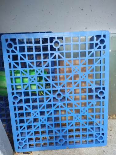 Pallet de Plástico