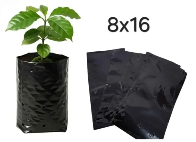 Jaca saco para muda 8x16