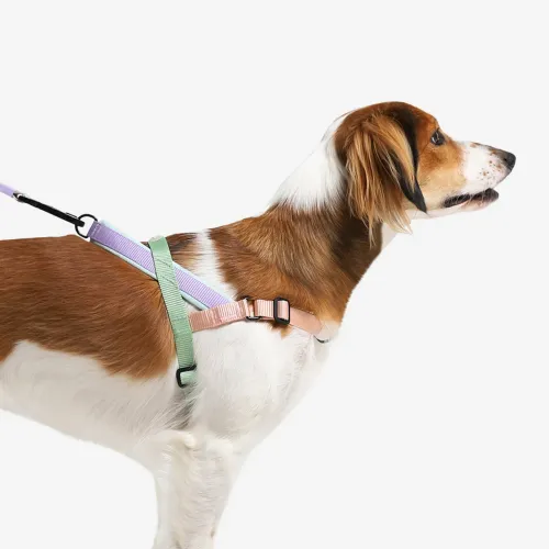 Peitoral Antipuxão SofterWalk para Cachorros Peach (tamanho M)