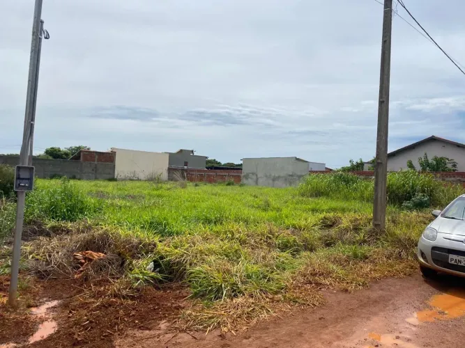 Lote próx a pecuária nova