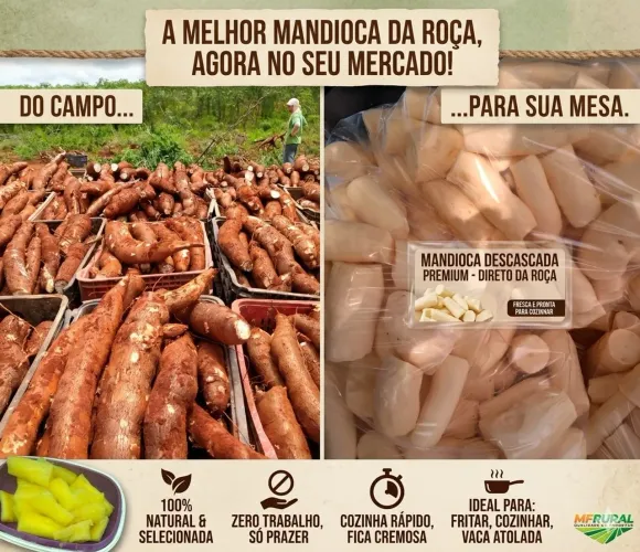 Mandioca Direto da Roça 