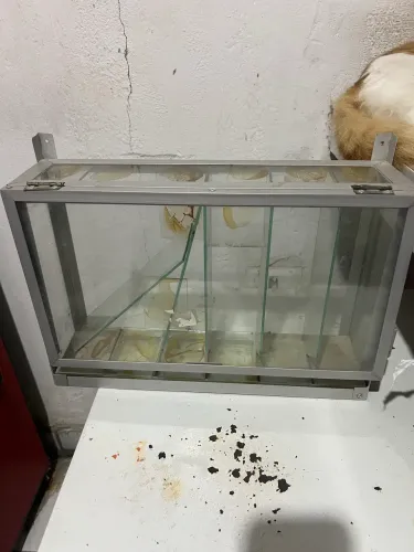 Expositor de cigarro