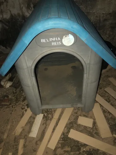 Casa de cachorro número 1 e 2
