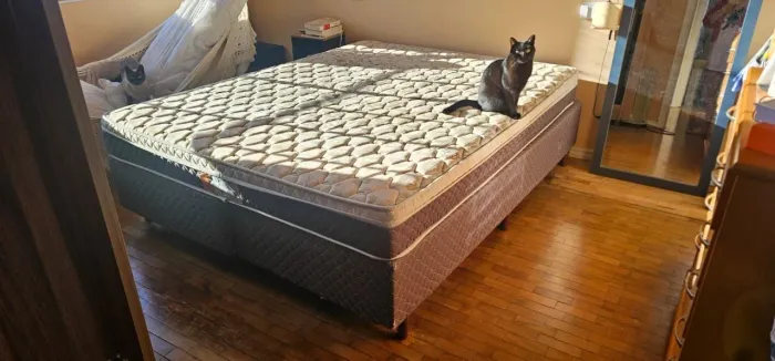 Cama Queen
