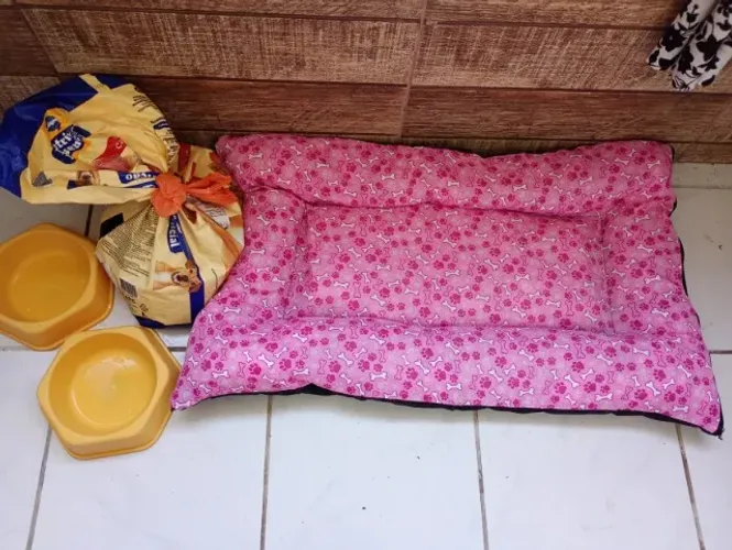 [DOAÇÃO] Cama pet, potes e ração