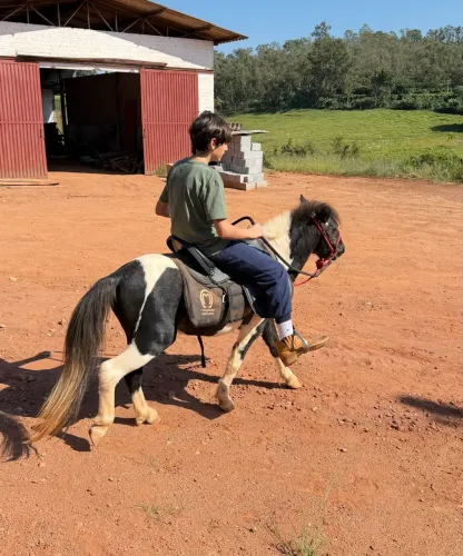 Casal de poney
