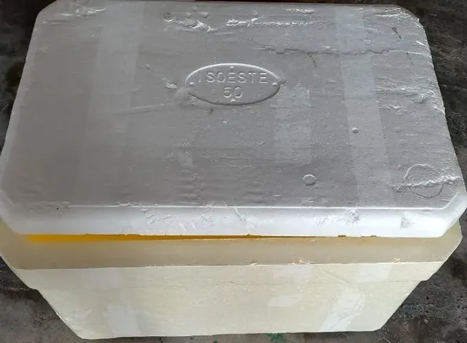 Caixa Térmica Isopor 50 Litros