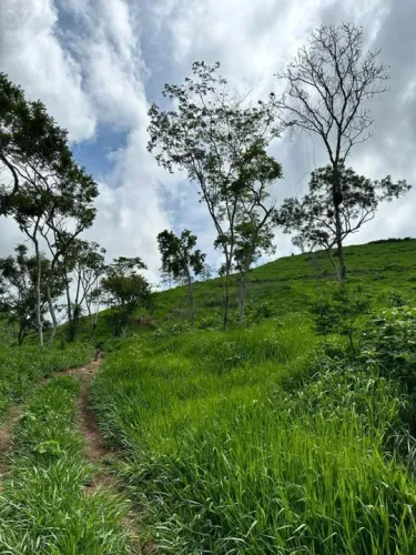 Fazenda em Governador Valadares/MG ( São Vitor)