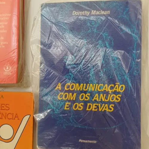 lote de livros para leitura em geral