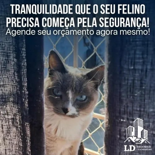 Redes de proteção 