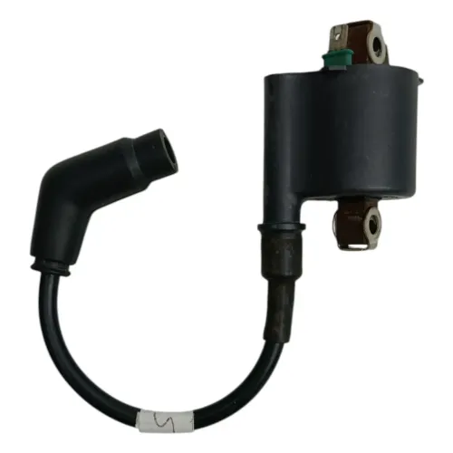 Bobina De Ignição Honda Cg Fan/titan-150/125 2010 A 2013