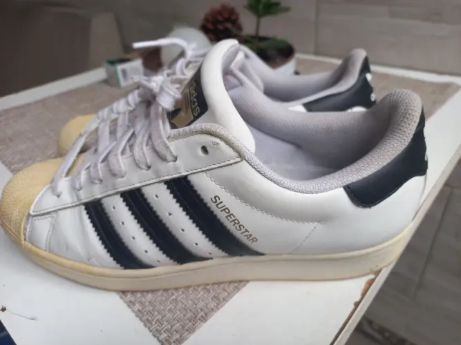 Tenis