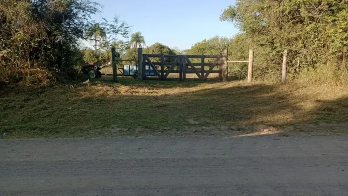 Alugo 23 hectares para cavalo
