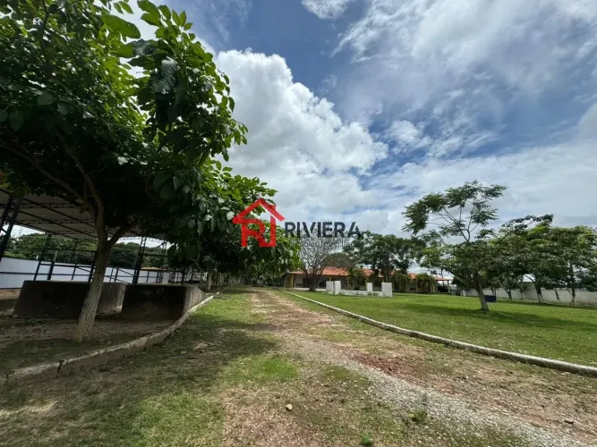 Terreno Comercial à Venda em São Luís-MA Bairro Tibiri 34.640,00 m² de Área