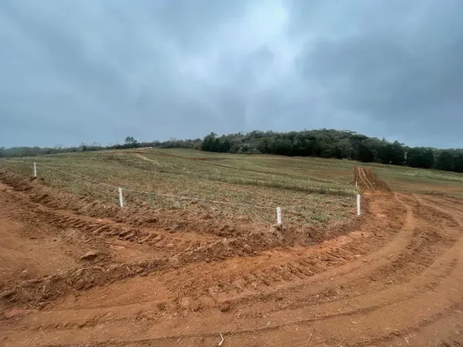 85M- BONS TERRENOS LOCALIZADOS EM COTIA