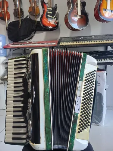 Acordeon Universal de 120 Baixos afinado 