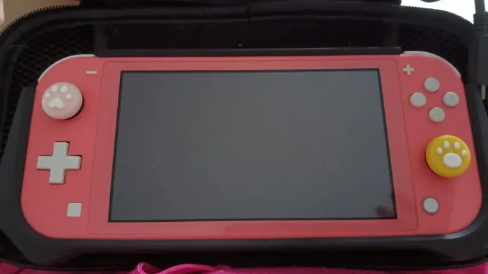 Nintendo Switch Lite Destravado