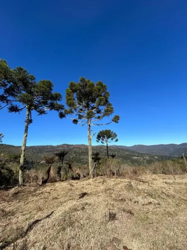 Lote/Terreno para venda com 20000 metros quadrados em Urubici - Urubici - Santa Catarina