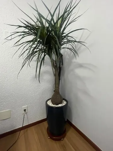 PLANTA ARTIFICIAL COM VASO VIETNAMITA DA PÓLEN