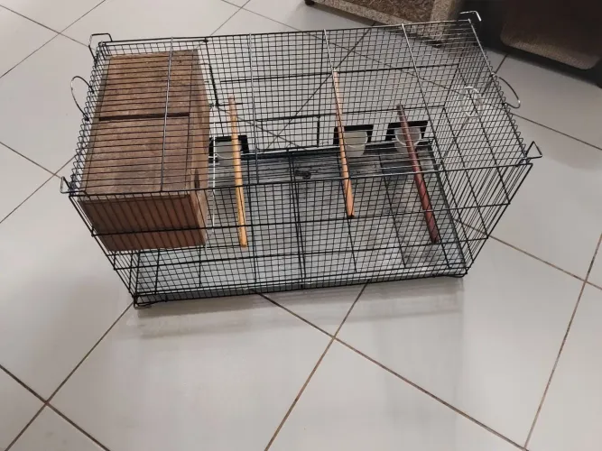 Gaiola para pássaro