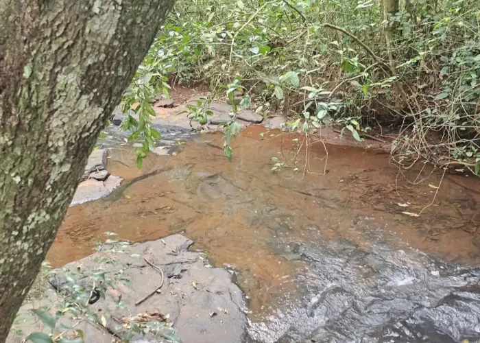 Venda de sítio Paraná 
