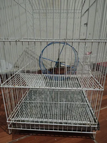 Gaiola para roedores 
