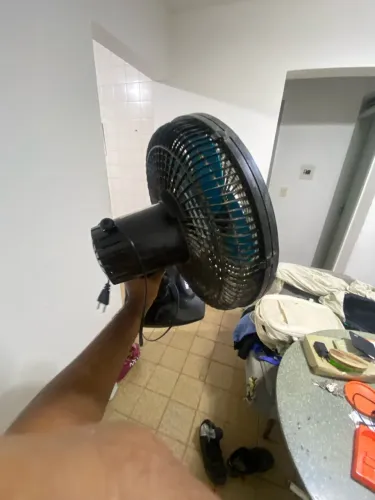 Ventilador mundial