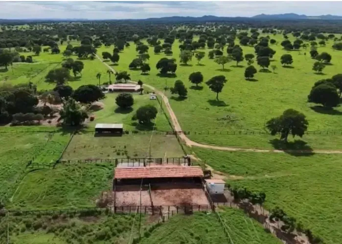 Fazenda - Itapuranga (GO)