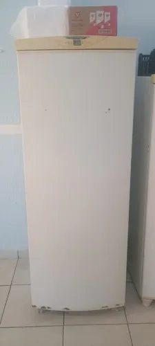 Freezer vertical Brastemp 110wt 