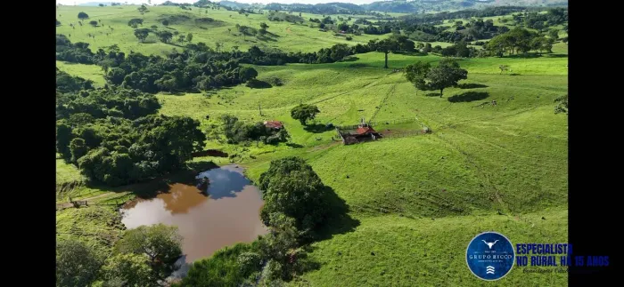 Fazenda à Venda em Anicuns GO | 34 Alqueires | Terra Preta