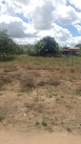 VENDO CASA  E LOTES 